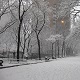 Mistress Troy discovers a Manhattan side-street well-suited for snow skis and a sleigh