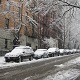 Mistress Troy in a messy Manhattan snowstorm