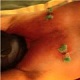 Pierced nipples with leather hood and gag