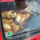 Mistress Troy sees 'leather bears' in Berlin, Germany